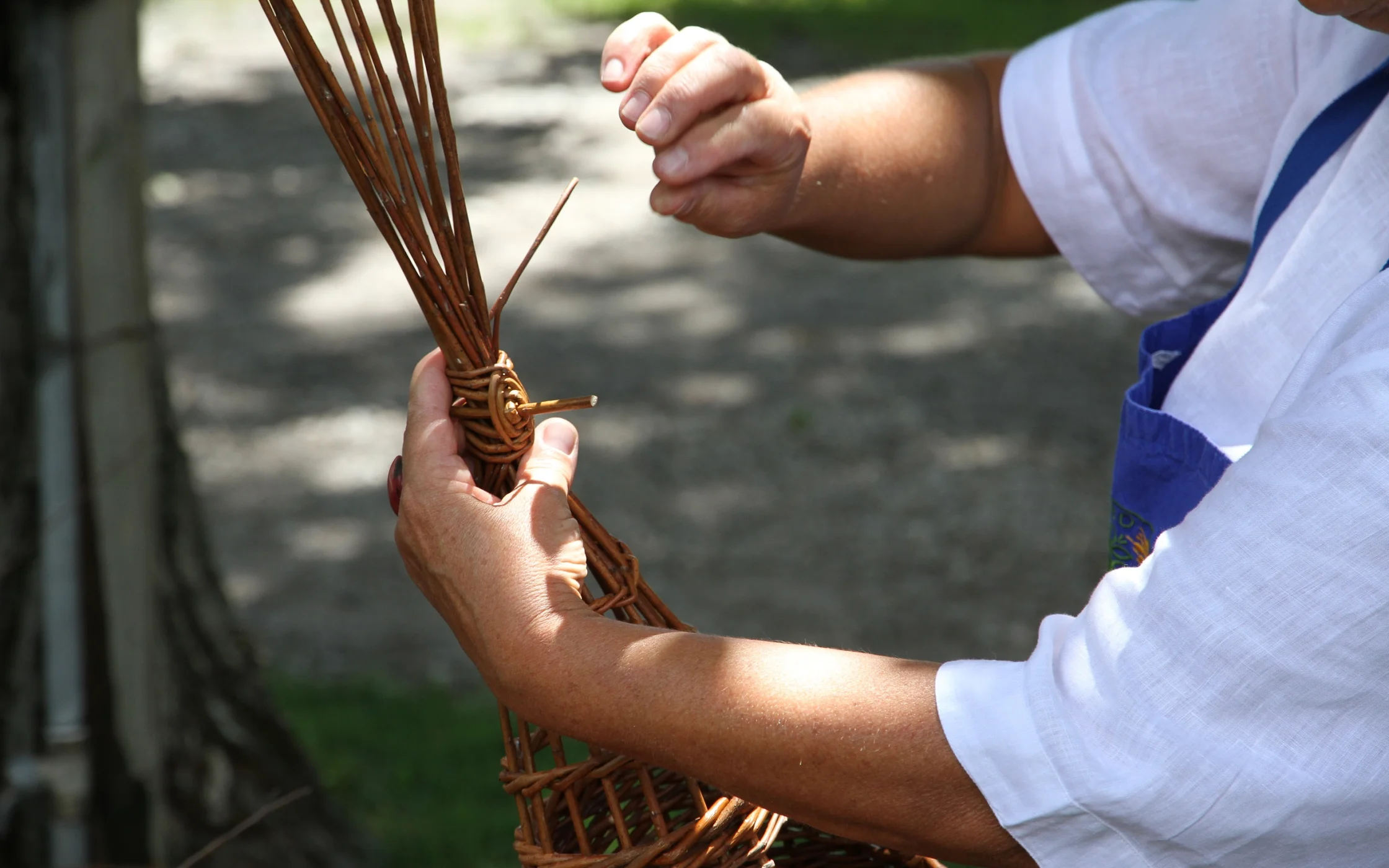 2020_07_02FotoshootingSBO 162.JPG